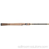 Fenwick Eagle Salmon/Steelhead Spinning Fishing Rod   567447675